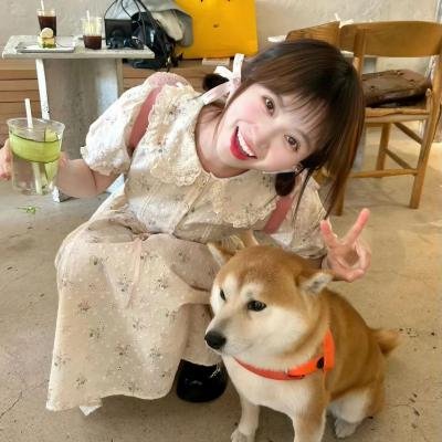 你好检察官
